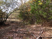 Enlarge photo 37
