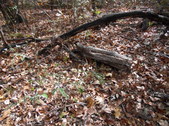 Enlarge photo 38
