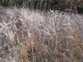 Enlarge photo 39