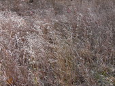 Enlarge photo 40