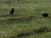 Enlarge photo 27