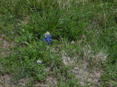 Enlarge photo 35