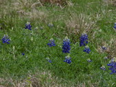 Enlarge photo 36
