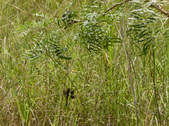 Enlarge photo 17