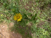 Enlarge photo 26