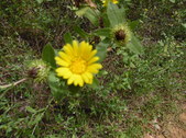 Enlarge photo 27