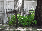 Enlarge photo 11