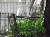 Enlarge photo 12