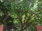 Enlarge photo 13