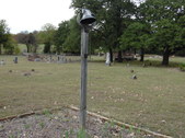 Enlarge photo 20