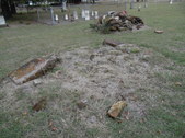 Enlarge photo 28