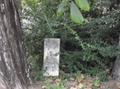 Enlarge photo 32