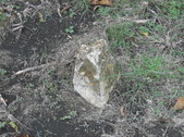 Enlarge photo 33
