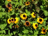 Enlarge photo 2