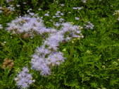 Enlarge photo 19
