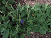 Enlarge photo 3