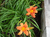 Enlarge photo 17