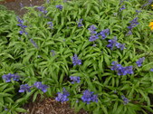 Enlarge photo 20