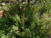 Enlarge photo 22