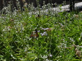 Enlarge photo 31