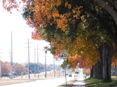 Old Town 14