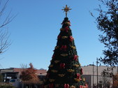 Enlarge photo 7