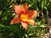 Enlarge photo 14