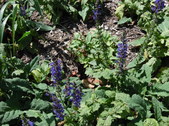 Enlarge photo 6