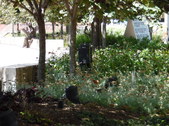 Enlarge photo 18