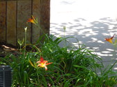 Enlarge photo 21