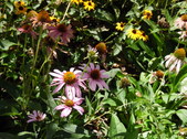 Enlarge photo 26