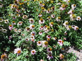 Enlarge photo 28