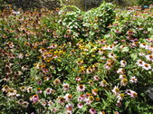 Enlarge photo 29