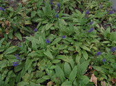Enlarge photo 4