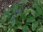 Enlarge photo 11