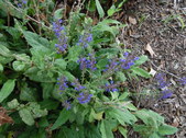 Enlarge photo 15