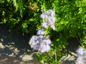 Enlarge photo 28