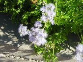 Enlarge photo 29