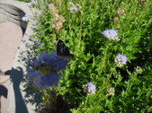 Enlarge photo 32