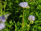 Enlarge photo 33
