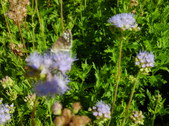 Enlarge photo 34