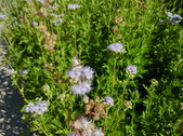 Enlarge photo 35
