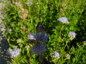 Enlarge photo 36