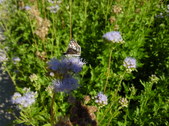 Enlarge photo 37
