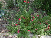 Enlarge photo 25