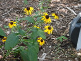 Enlarge photo 26