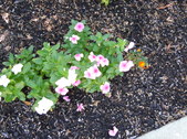 Enlarge photo 32