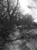 Enlarge photo 25