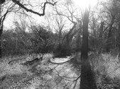 Enlarge photo 28