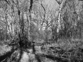Enlarge photo 29